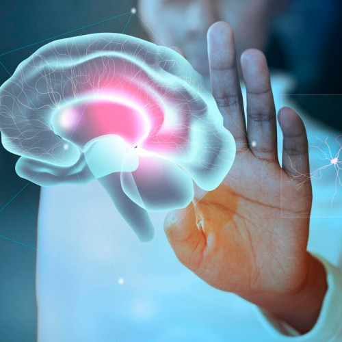 Neurology